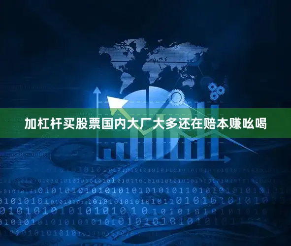 加杠杆买股票国内大厂大多还在赔本赚吆喝