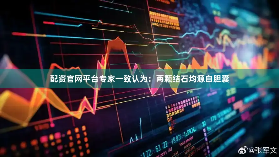配资官网平台专家一致认为：两颗结石均源自胆囊