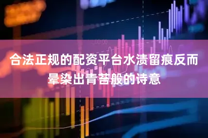 合法正规的配资平台水渍留痕反而晕染出青苔般的诗意