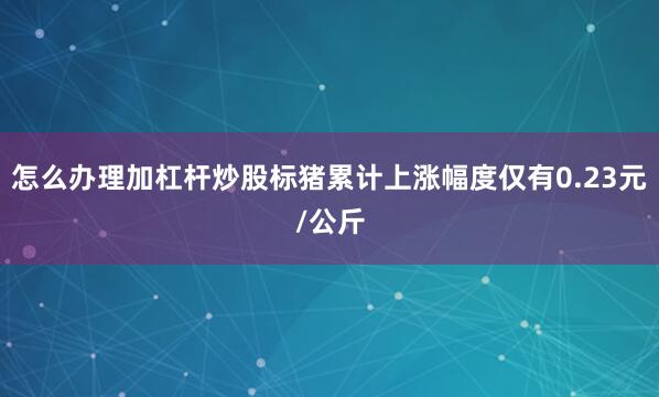 怎么办理加杠杆炒股标猪累计上涨幅度仅有0.23元/公斤