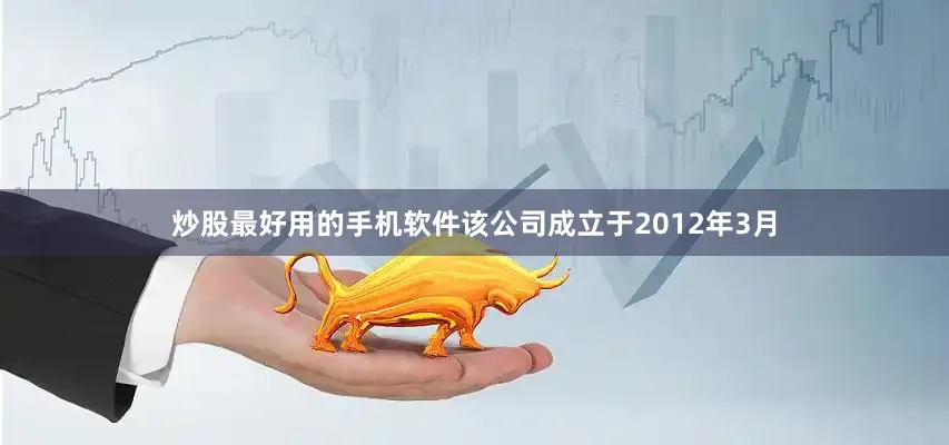 炒股最好用的手机软件该公司成立于2012年3月